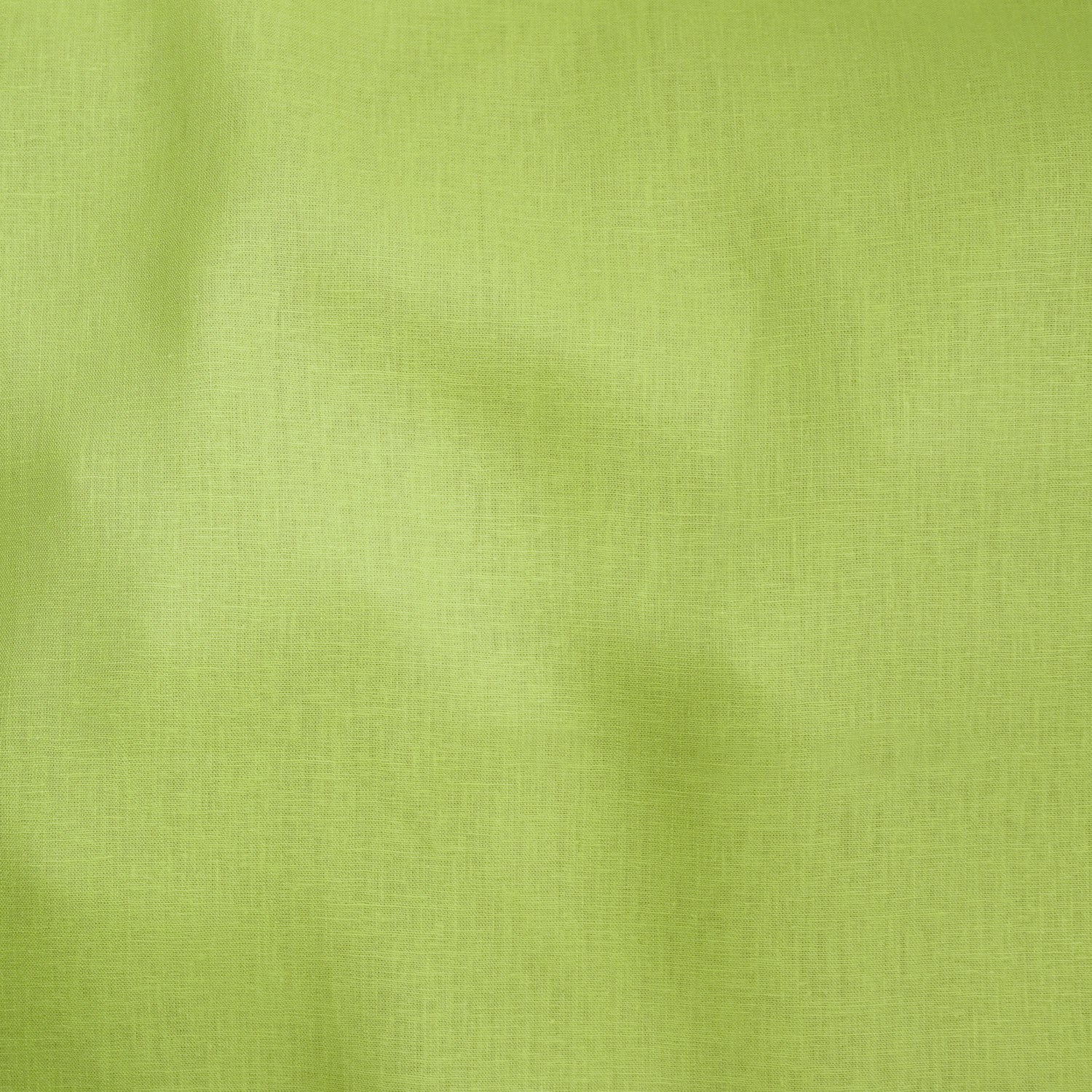 Lime (13)
