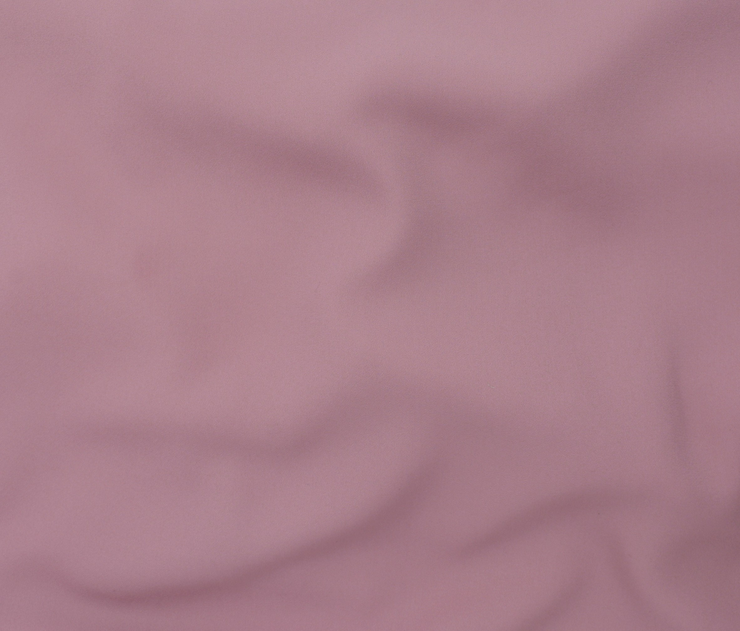 Rose (40)