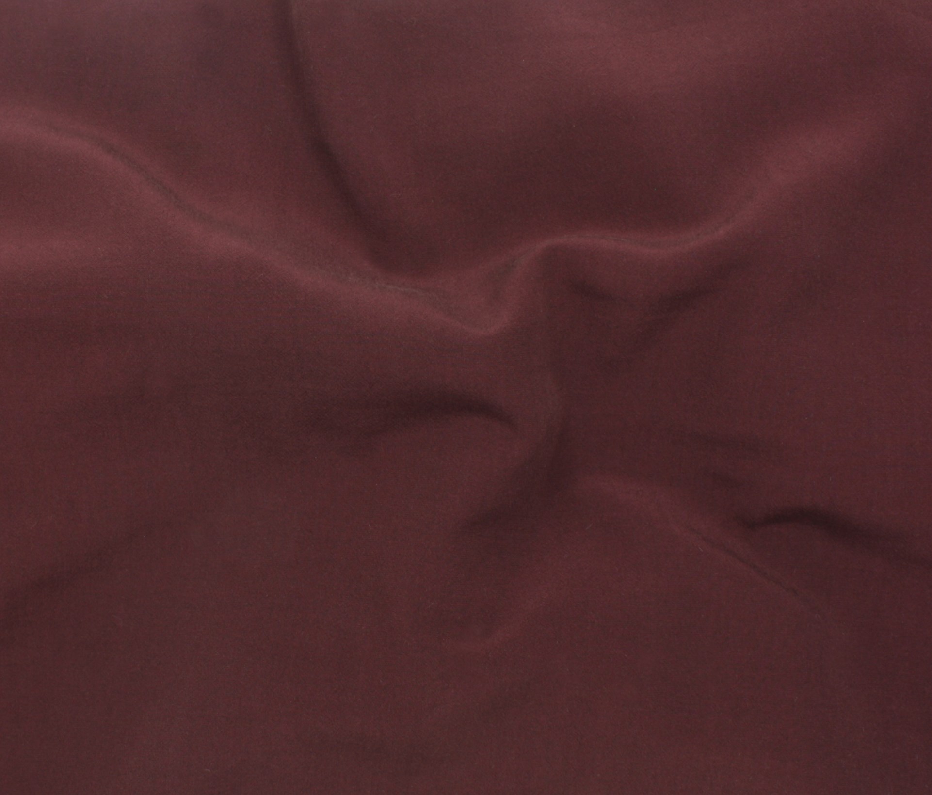 Merlot (16)