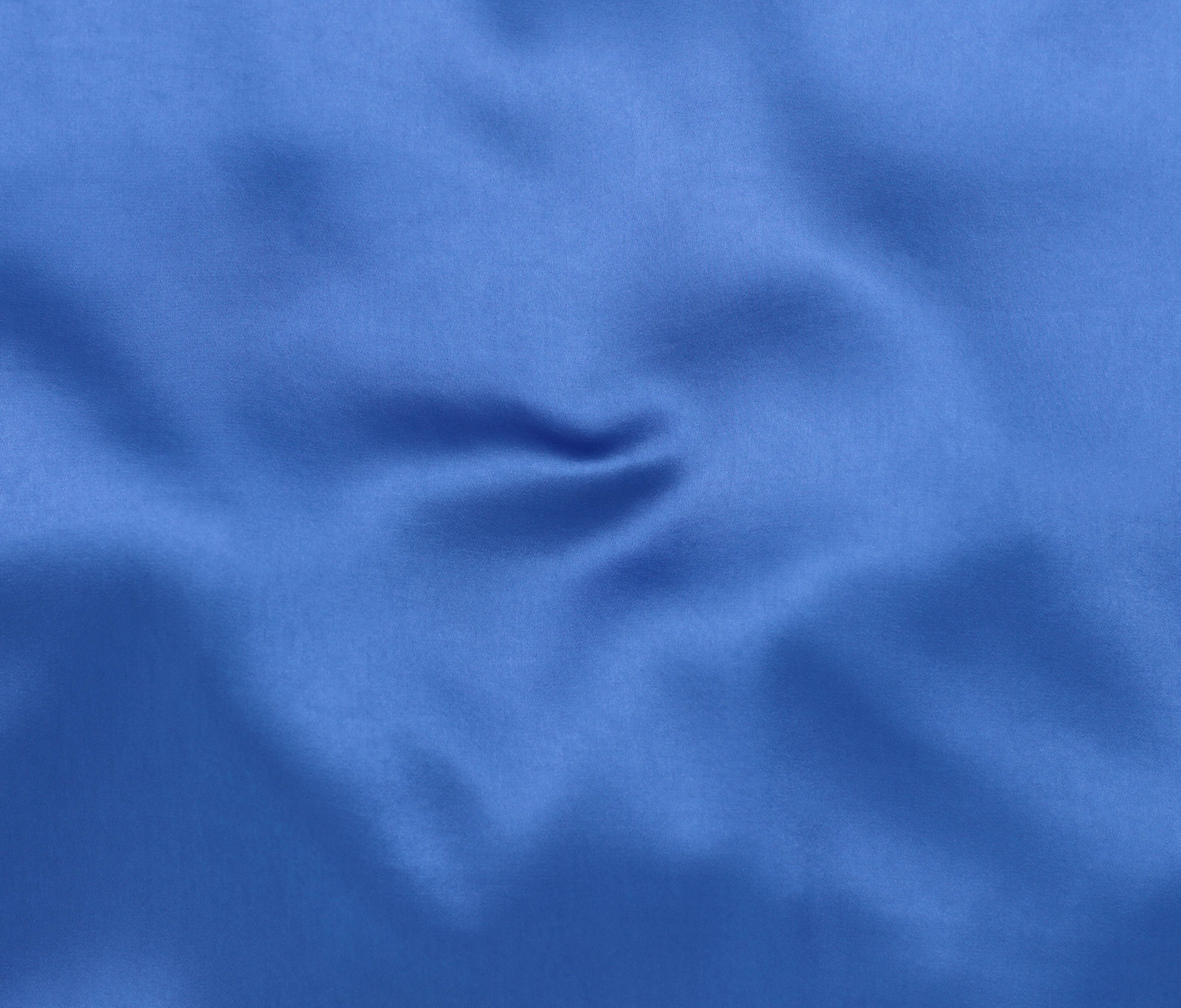 Blue Hydrangea (21)