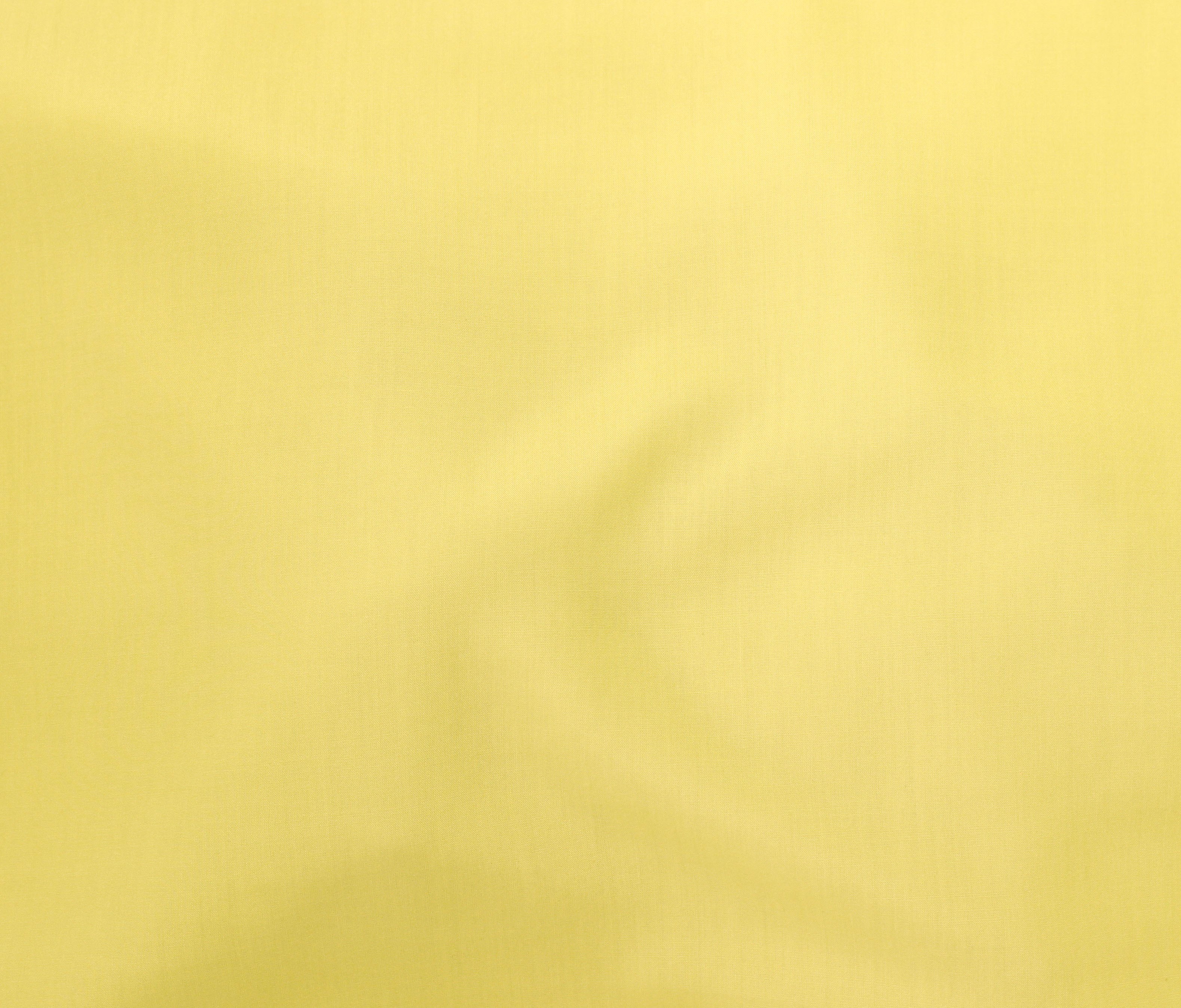 Limoncello (16)