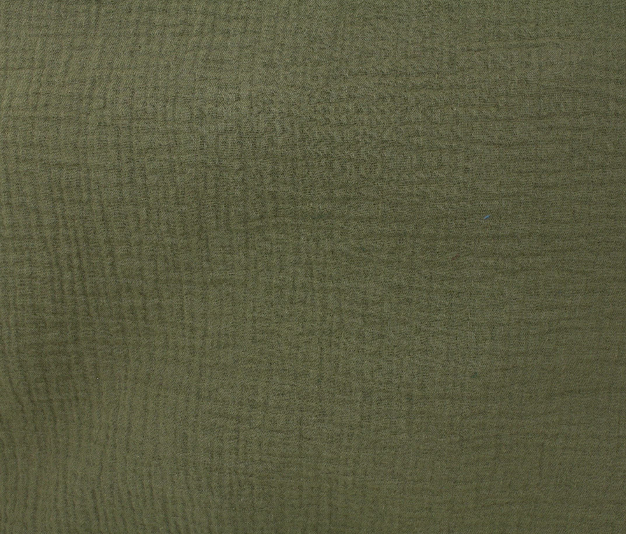 Olive (10)