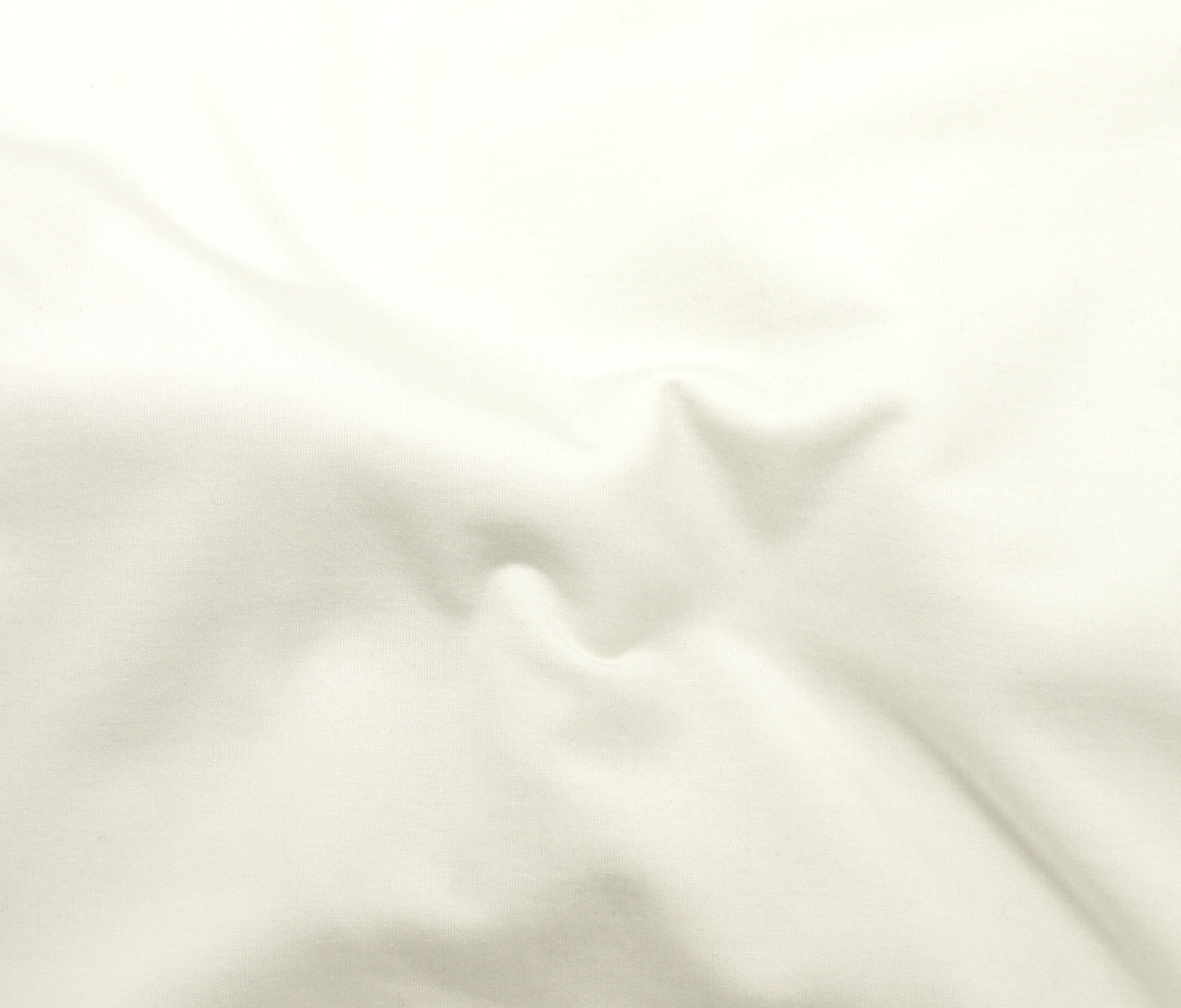Ivory (03)