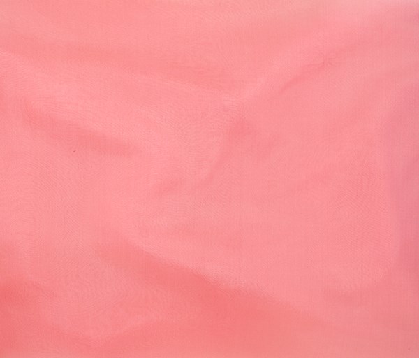Coral (15)