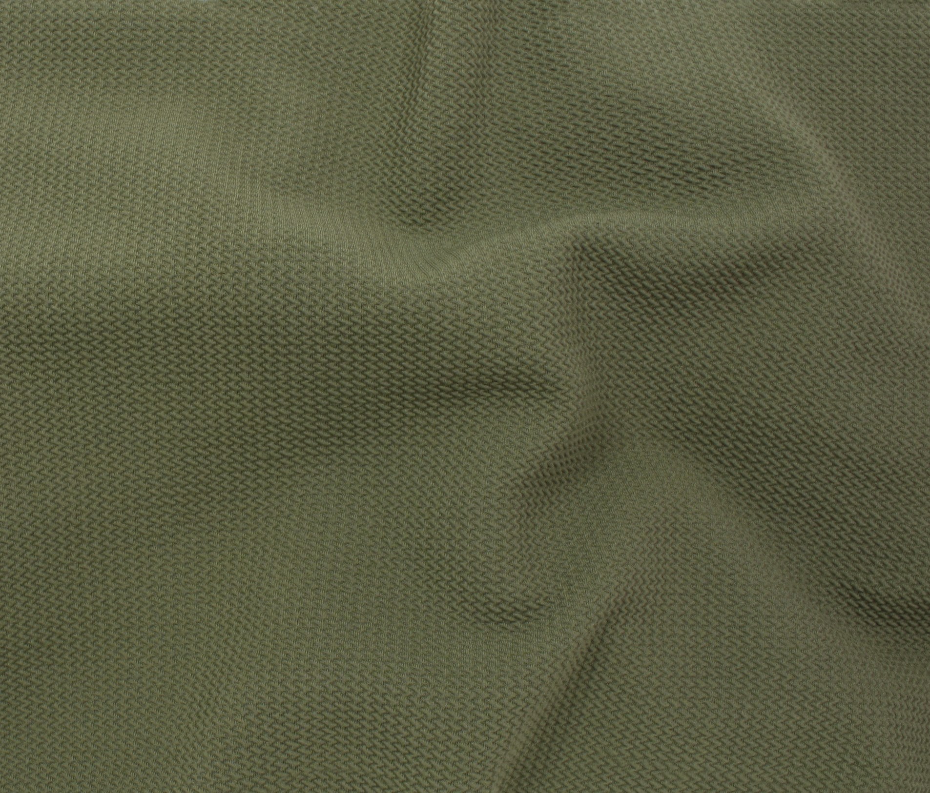 OLIVE* (53)