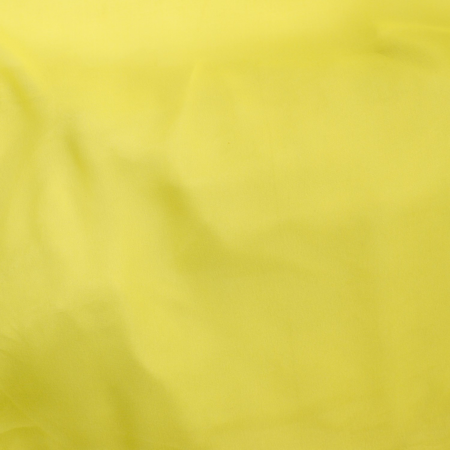 CANARY (40)