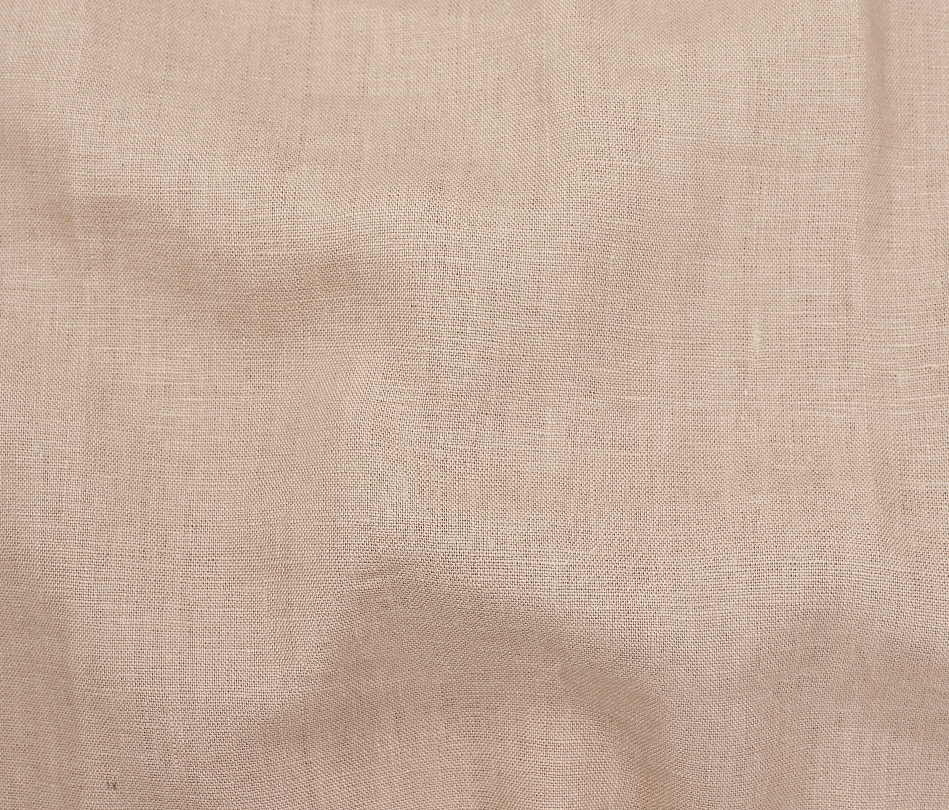 Tea Rose (77)