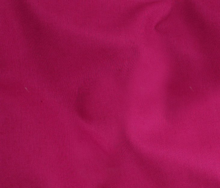 Fuchsia (21)