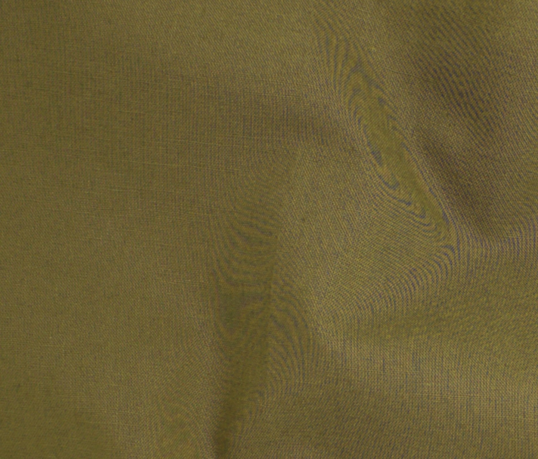 Seaweed (11)