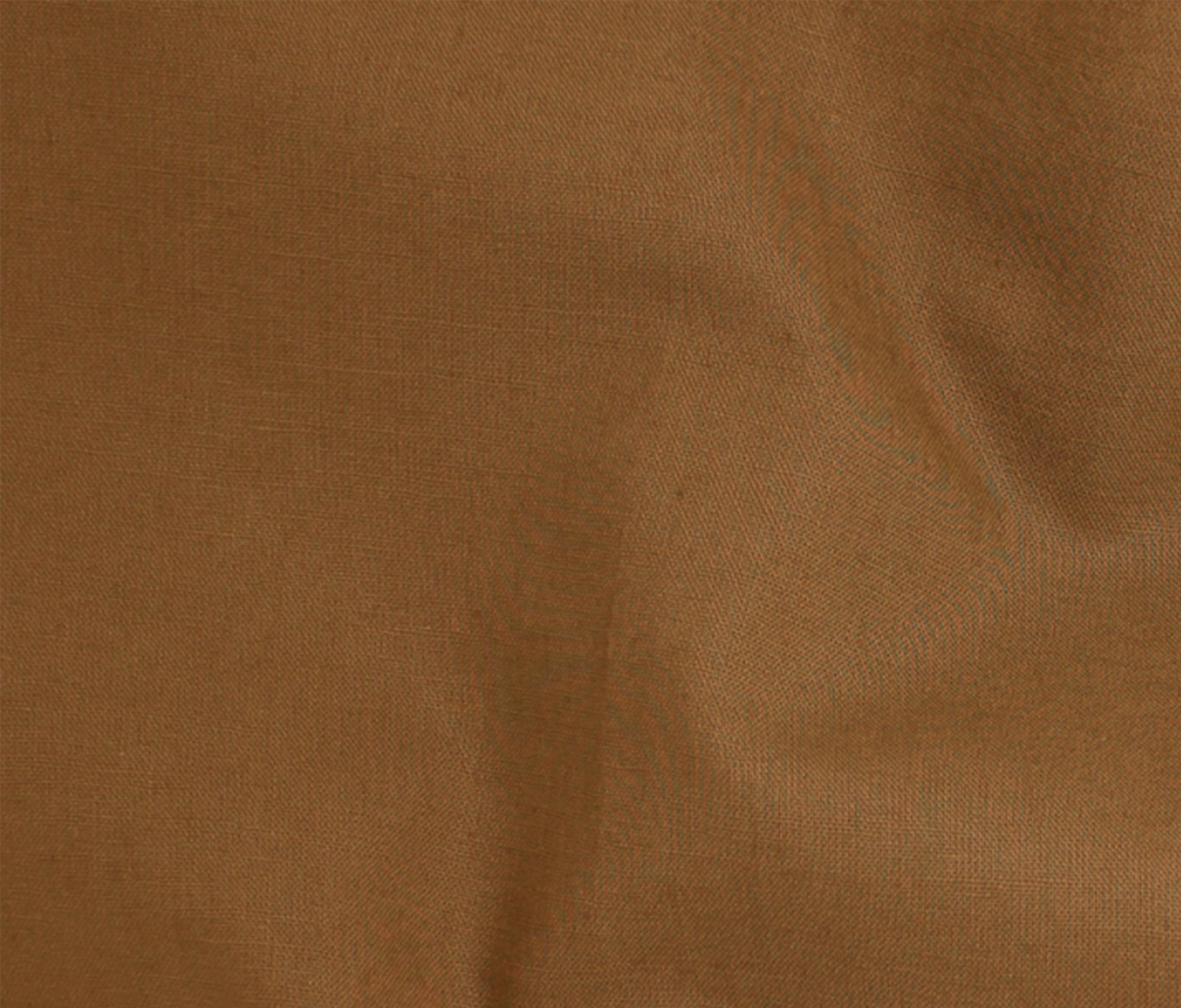 Pecan (09)