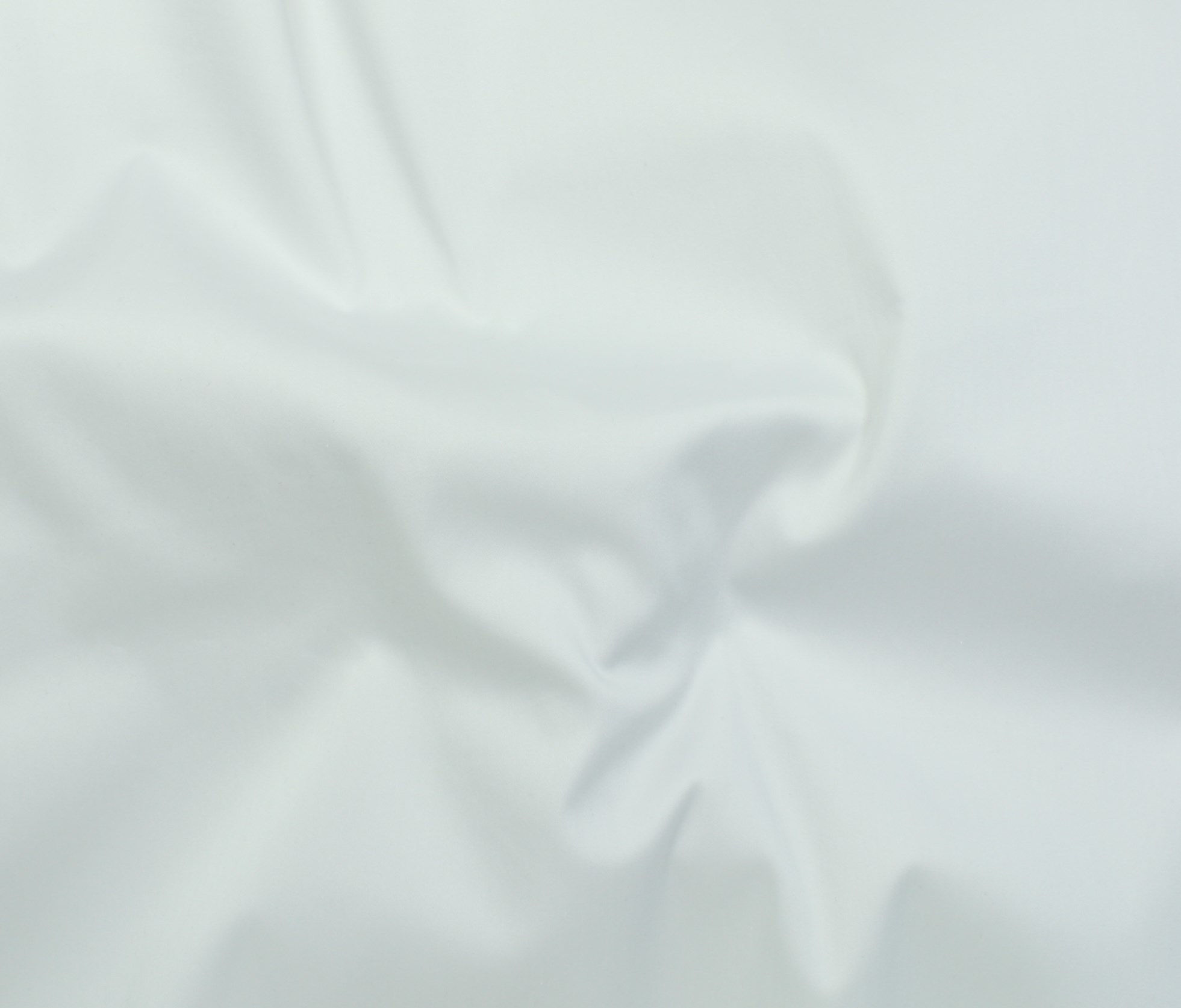 WHITE (01)