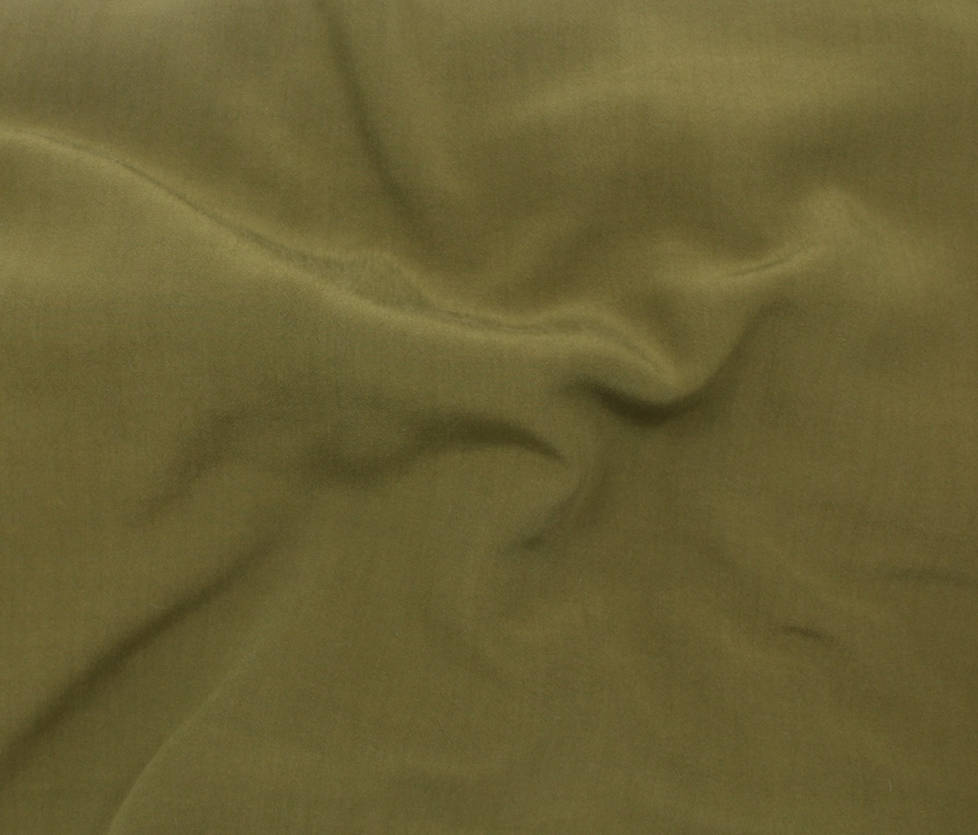 Seaweed (14)