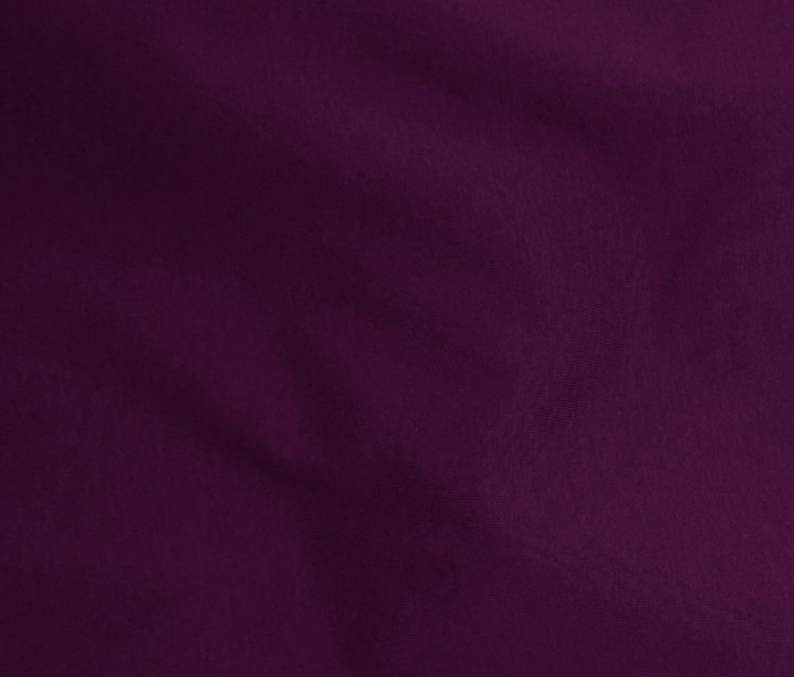 Plum (16)
