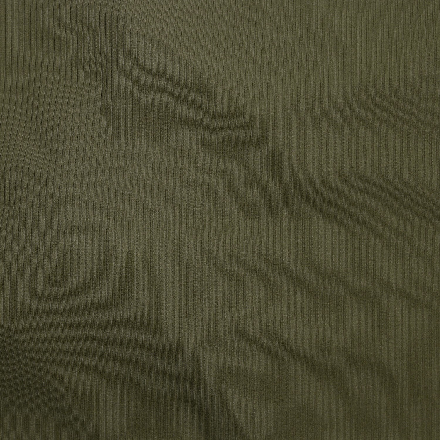Olive (08)