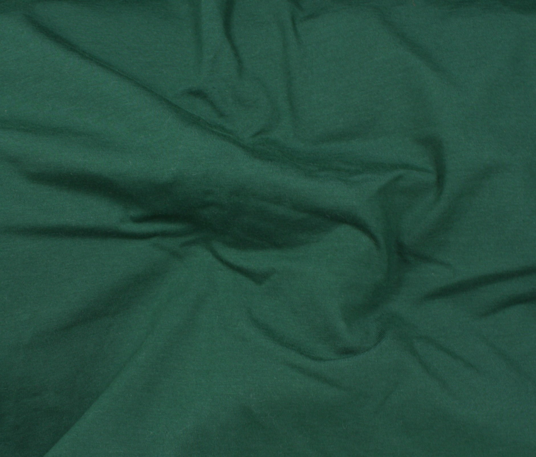 Pine (Rib) (11)