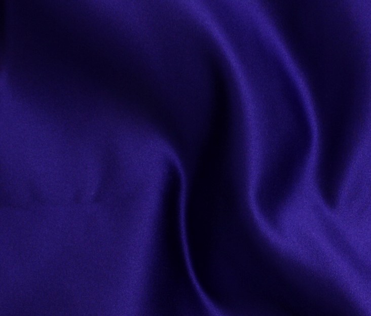 ClemantisBlue (97)