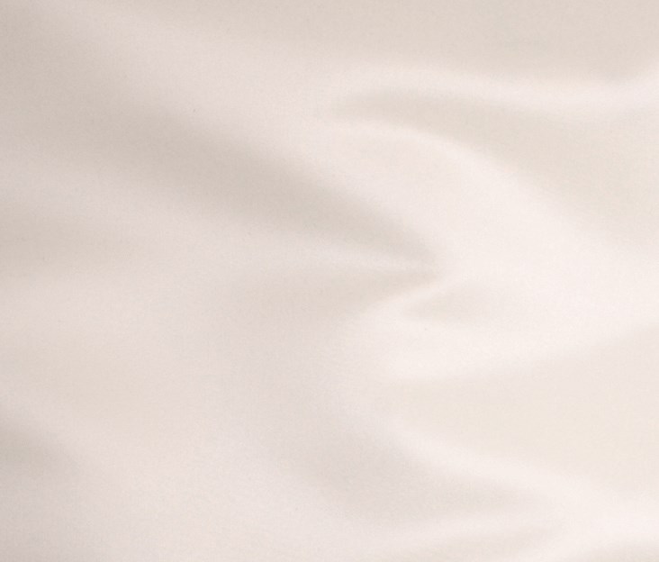 SILK WHITE (99)