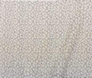 47115-03 Elise Lace (I)-Ivory/Black