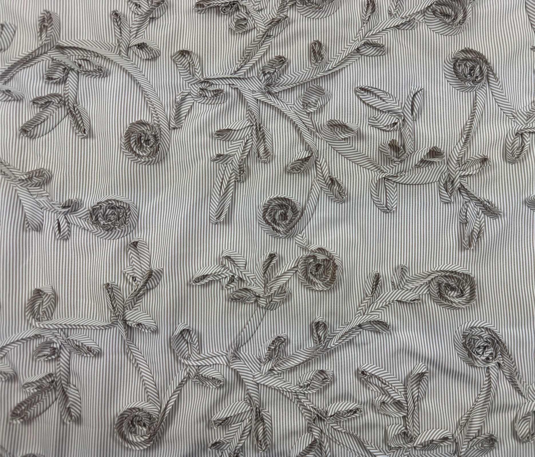 Taupe/Blanc EU0691 (03)