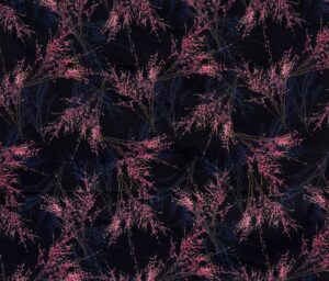 47061-01 Digital picasso poplin-Navy/Fuchsia