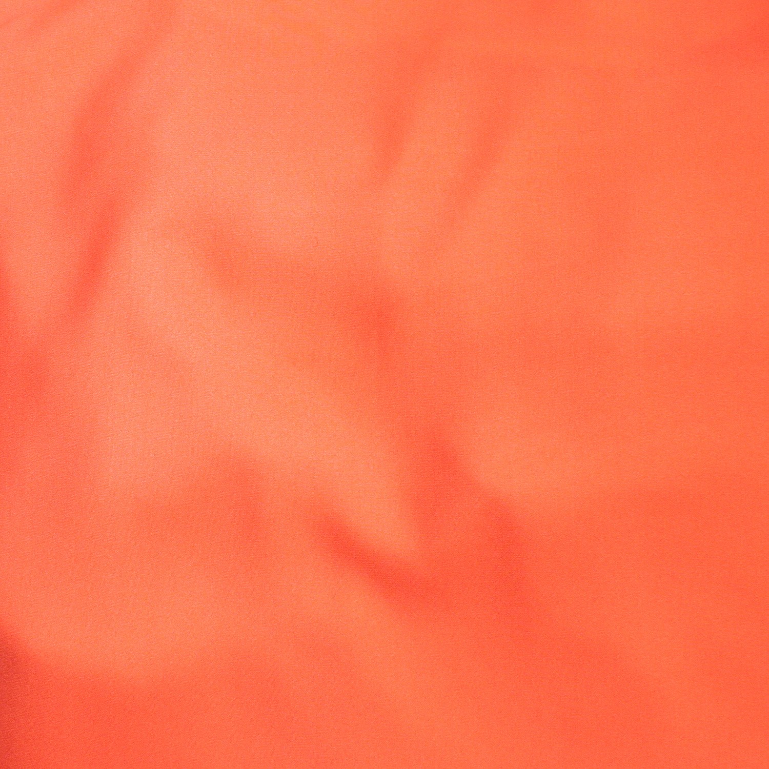 Coral Candy (50)