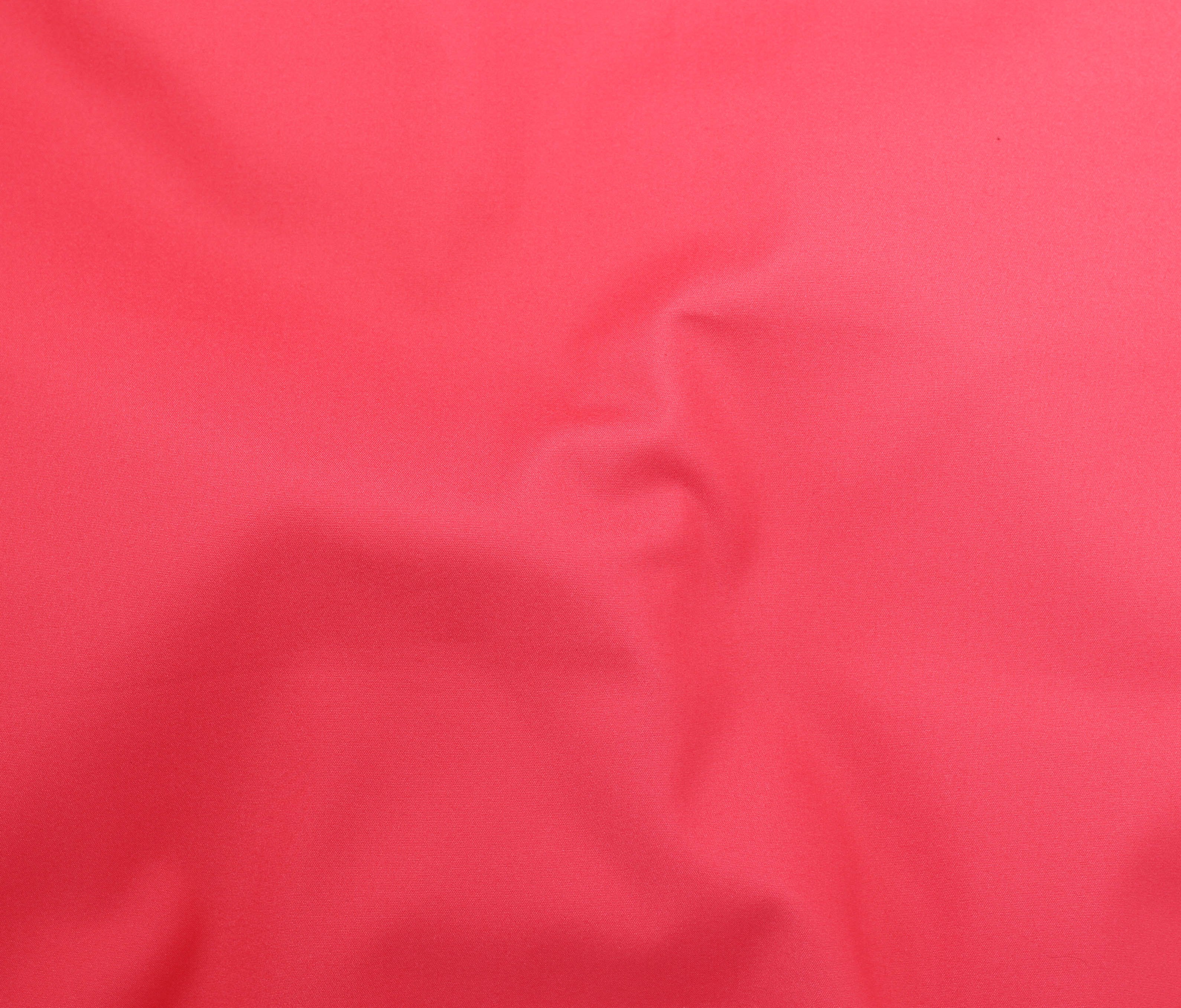 39036-31 Chichi II-Peach