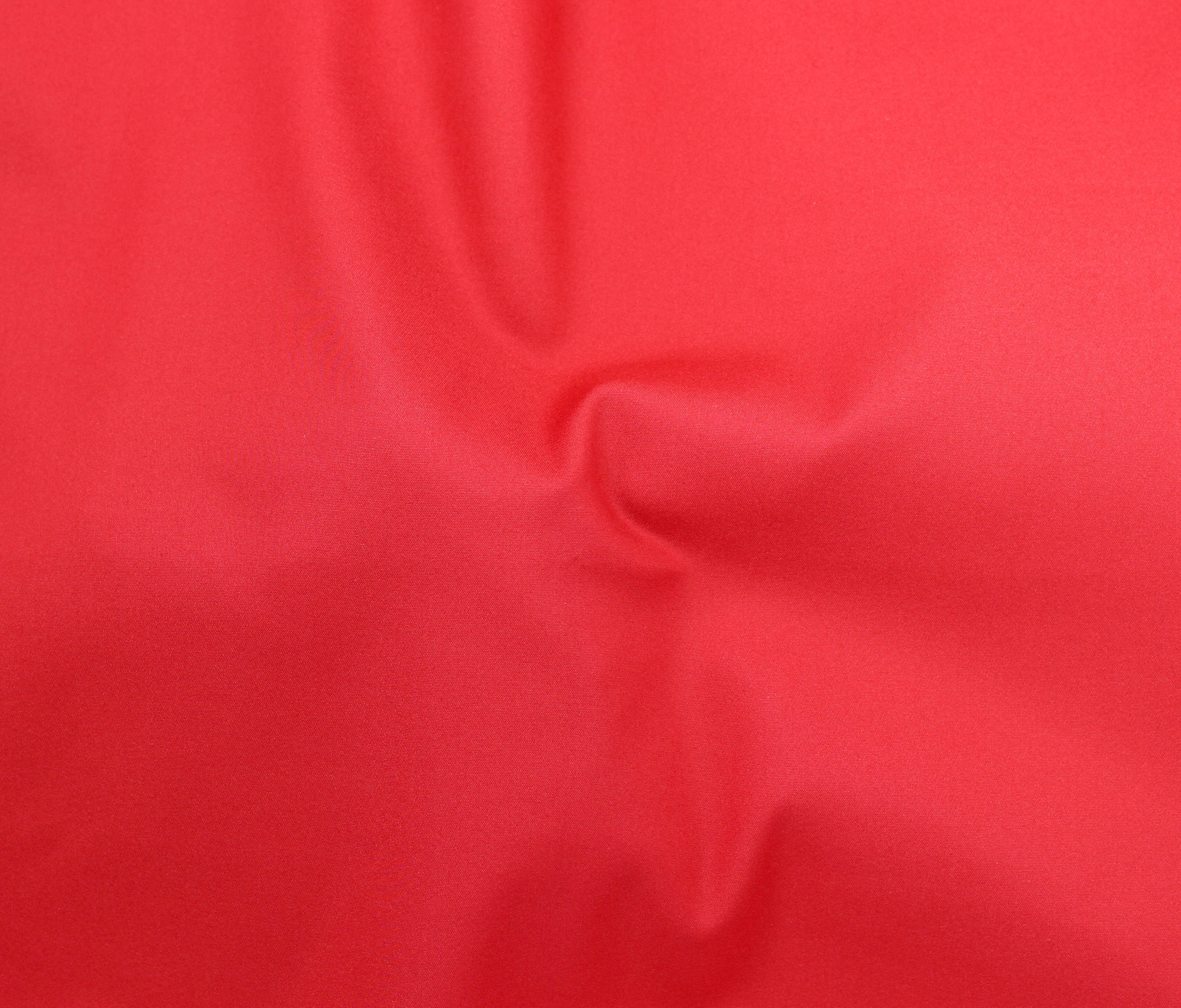39036-34 Chichi II-Tomato