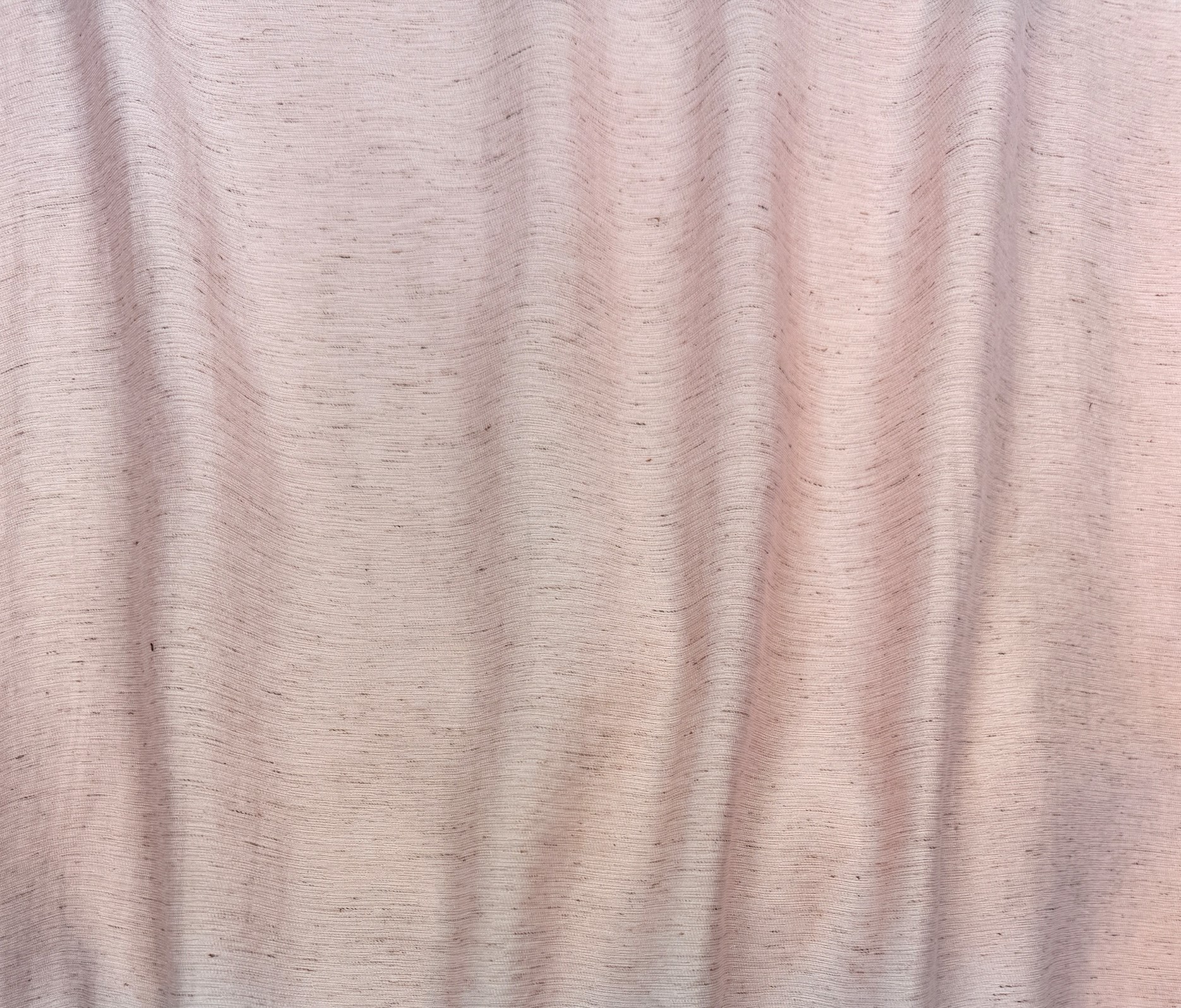 Rose (10)