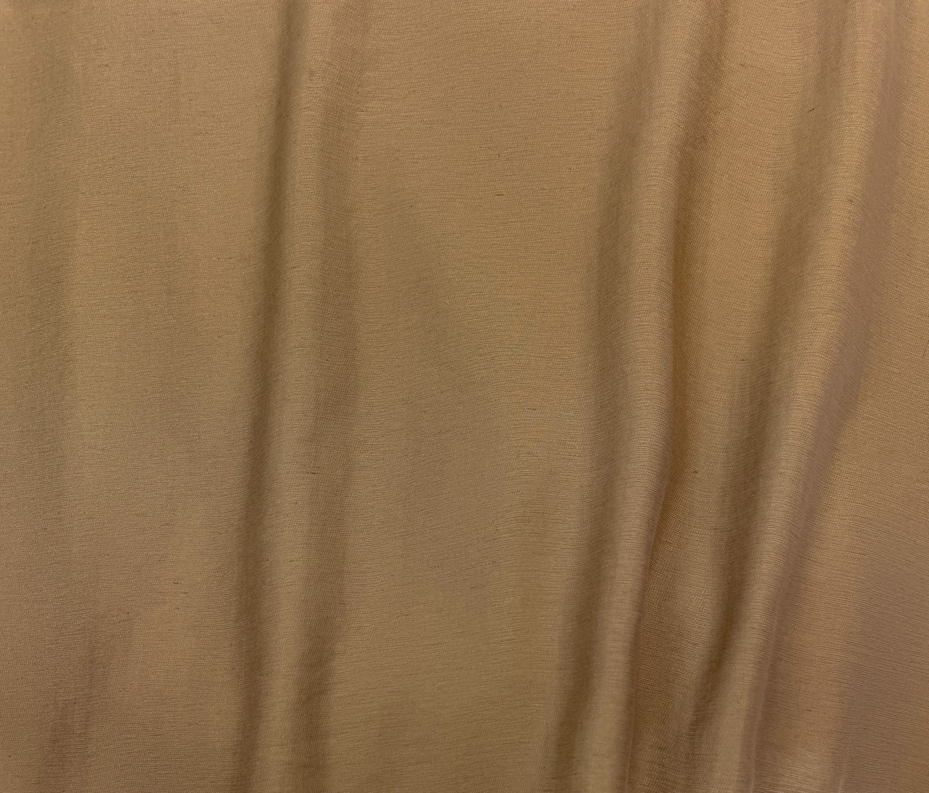 Camel (08)