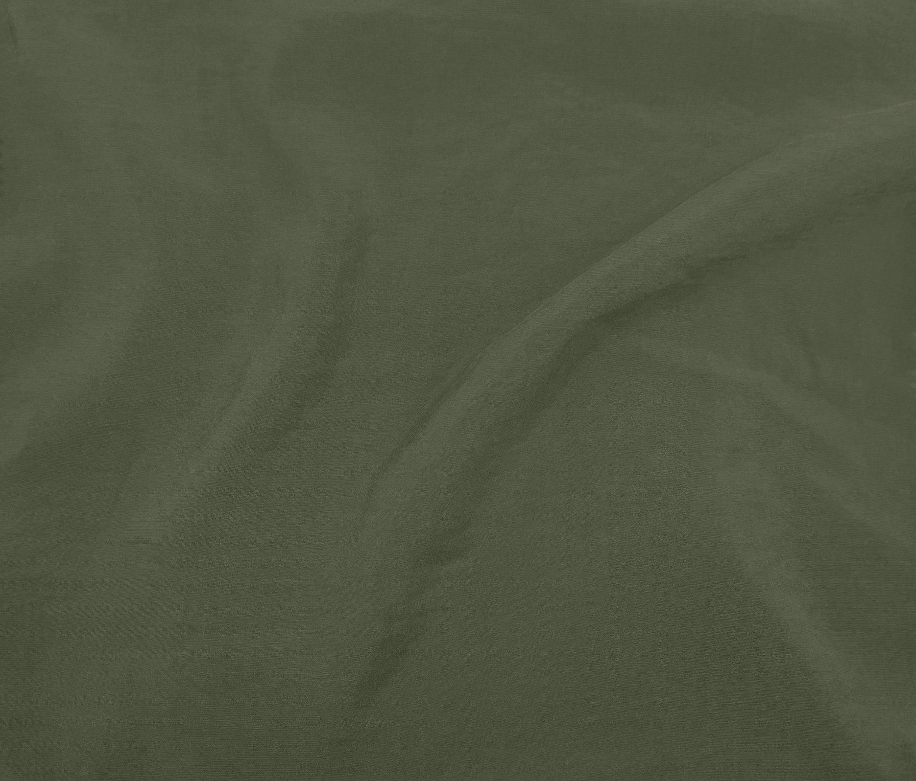 Olive e*(U0691) (10)