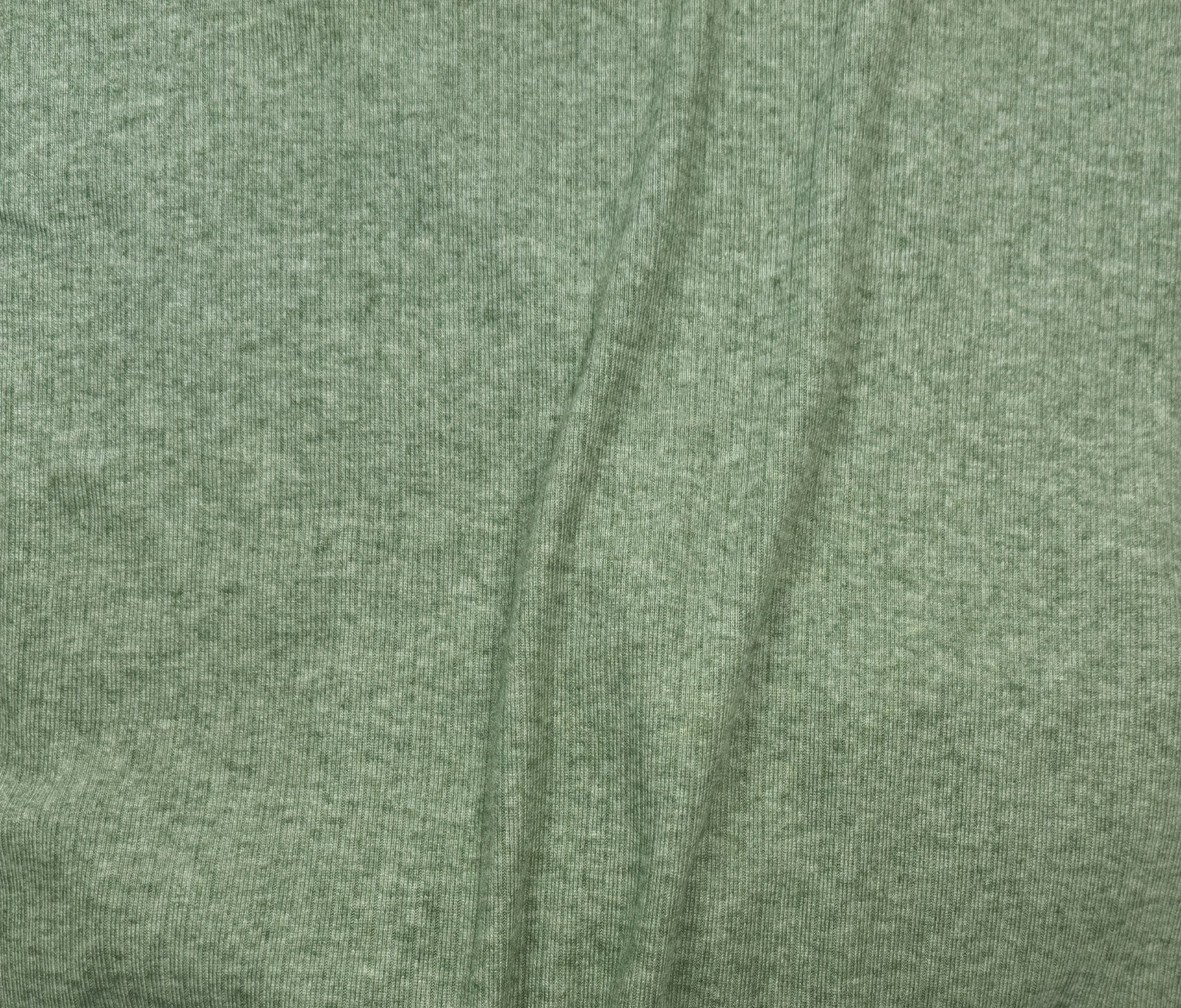 Fern (13)
