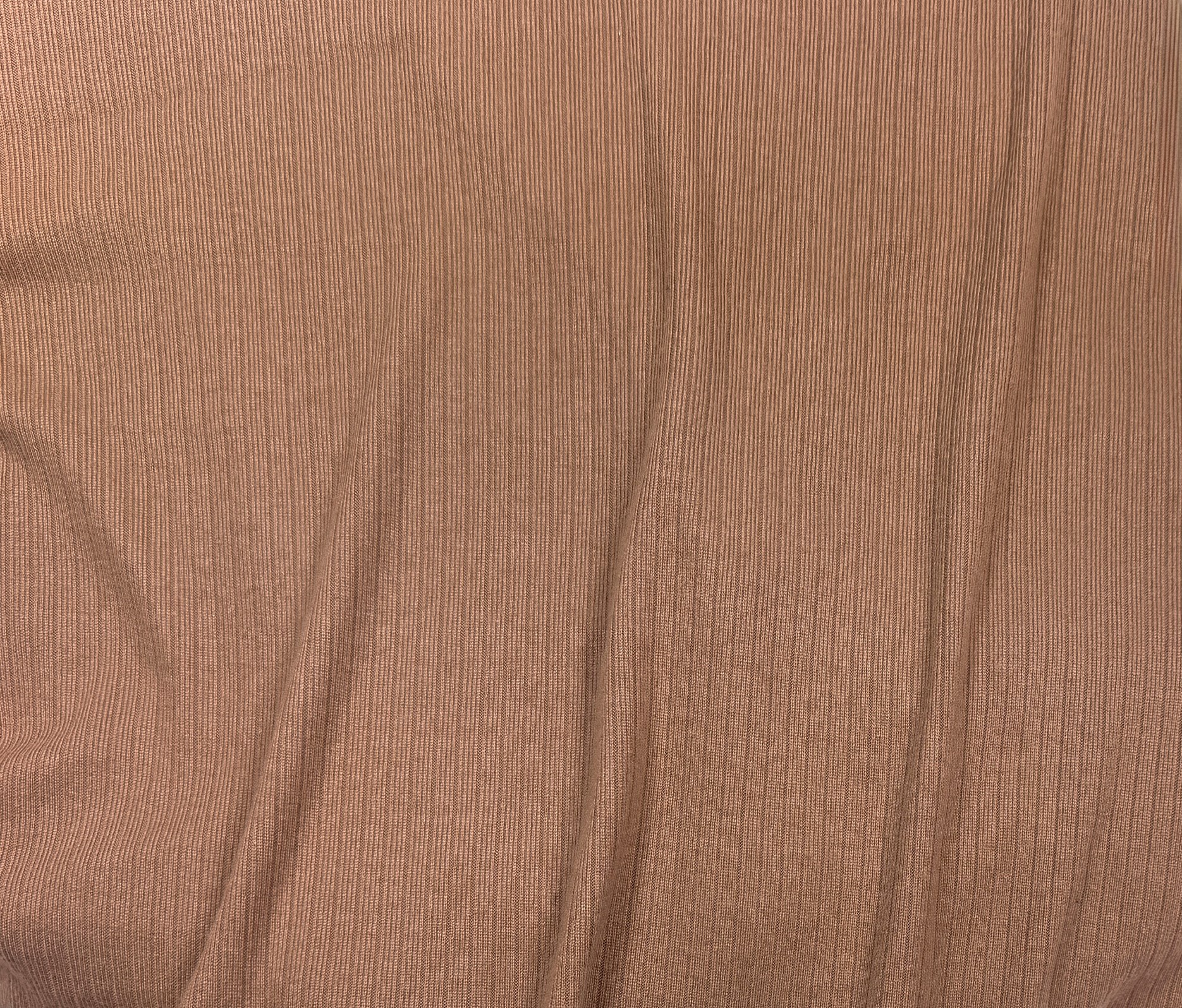 Camel (06)