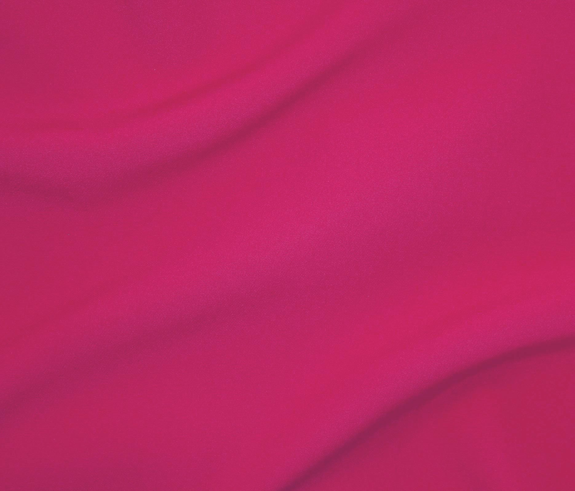 Fuchsia* (15)