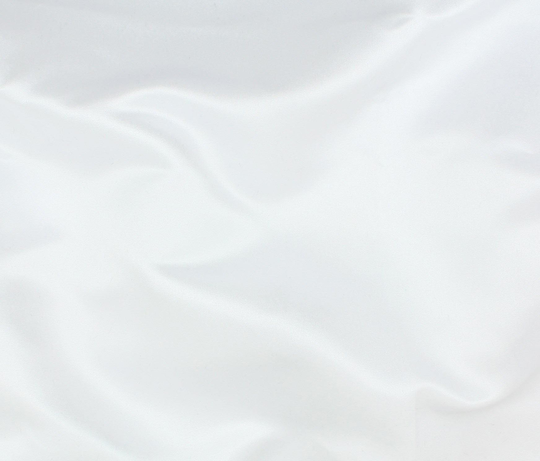WHITE / (01)