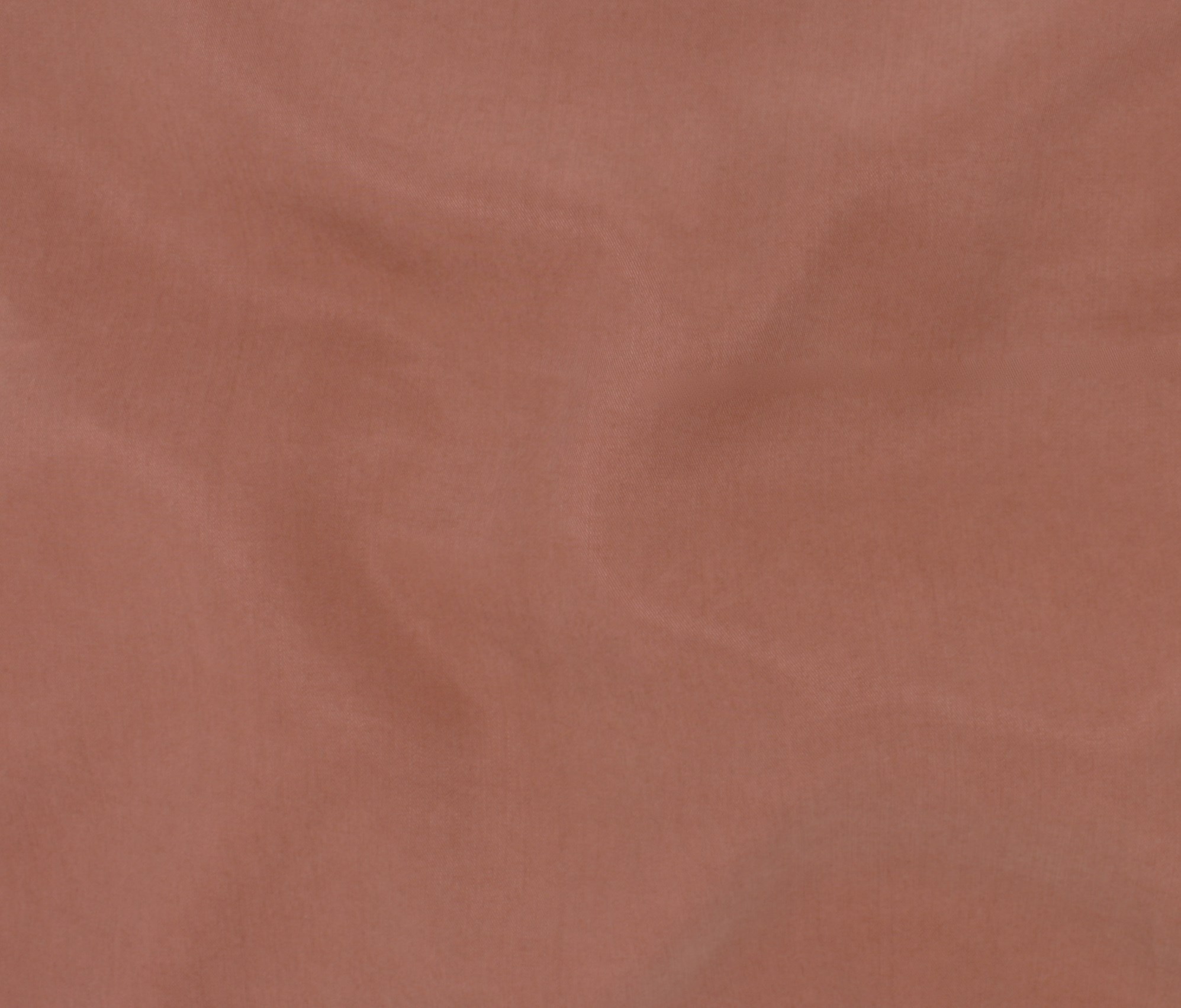 CedarWood (32)