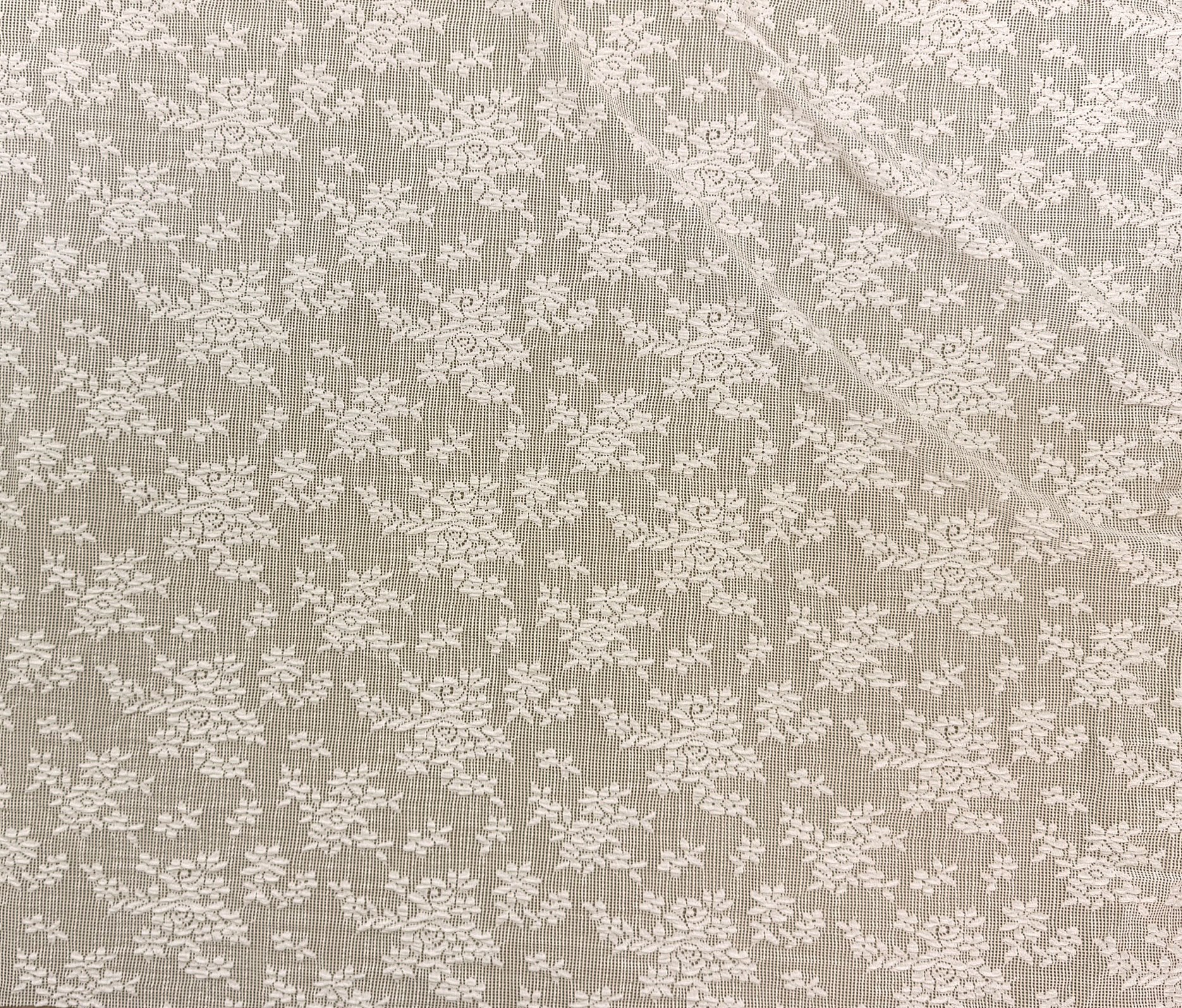 Ivory (03)