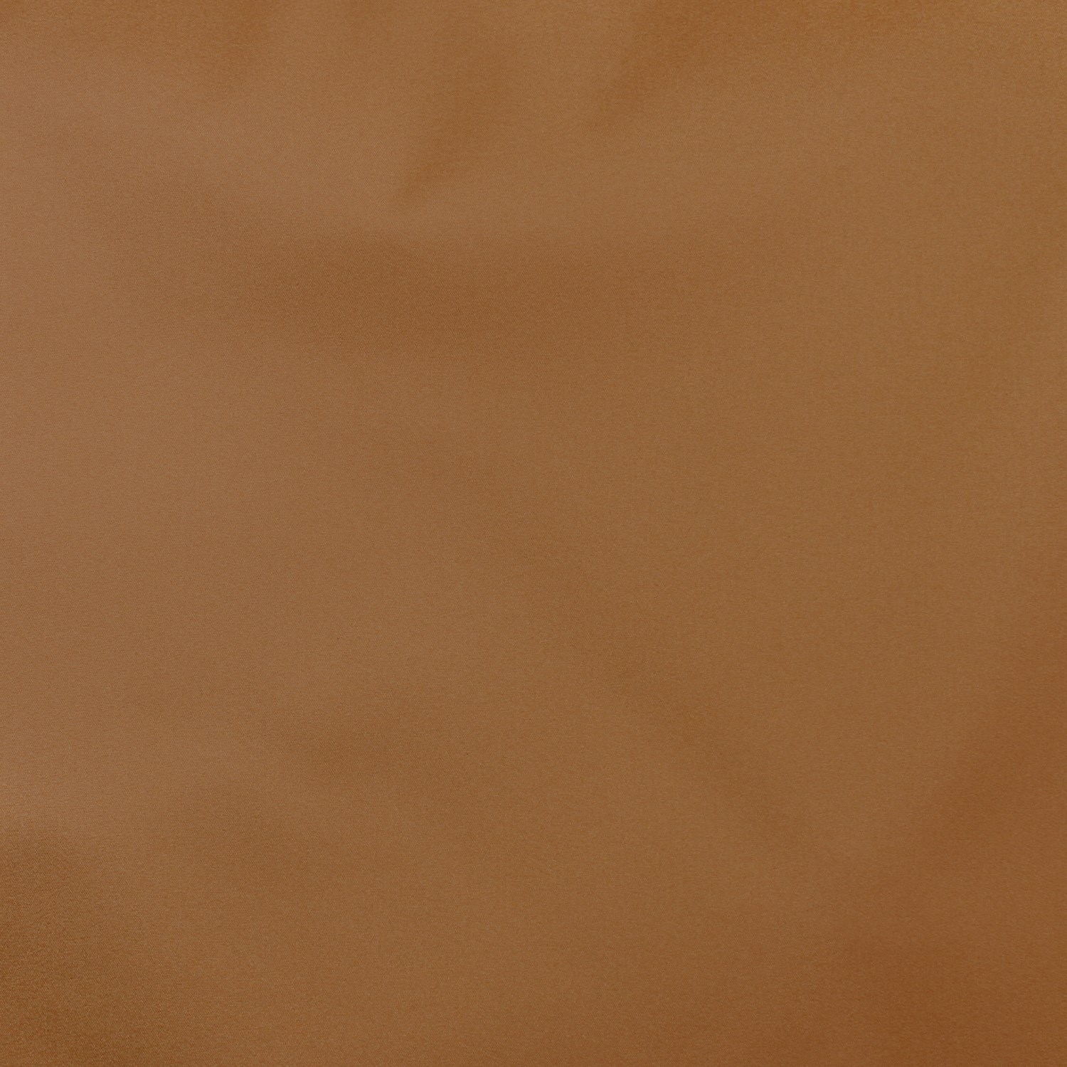 Cocoa (52)