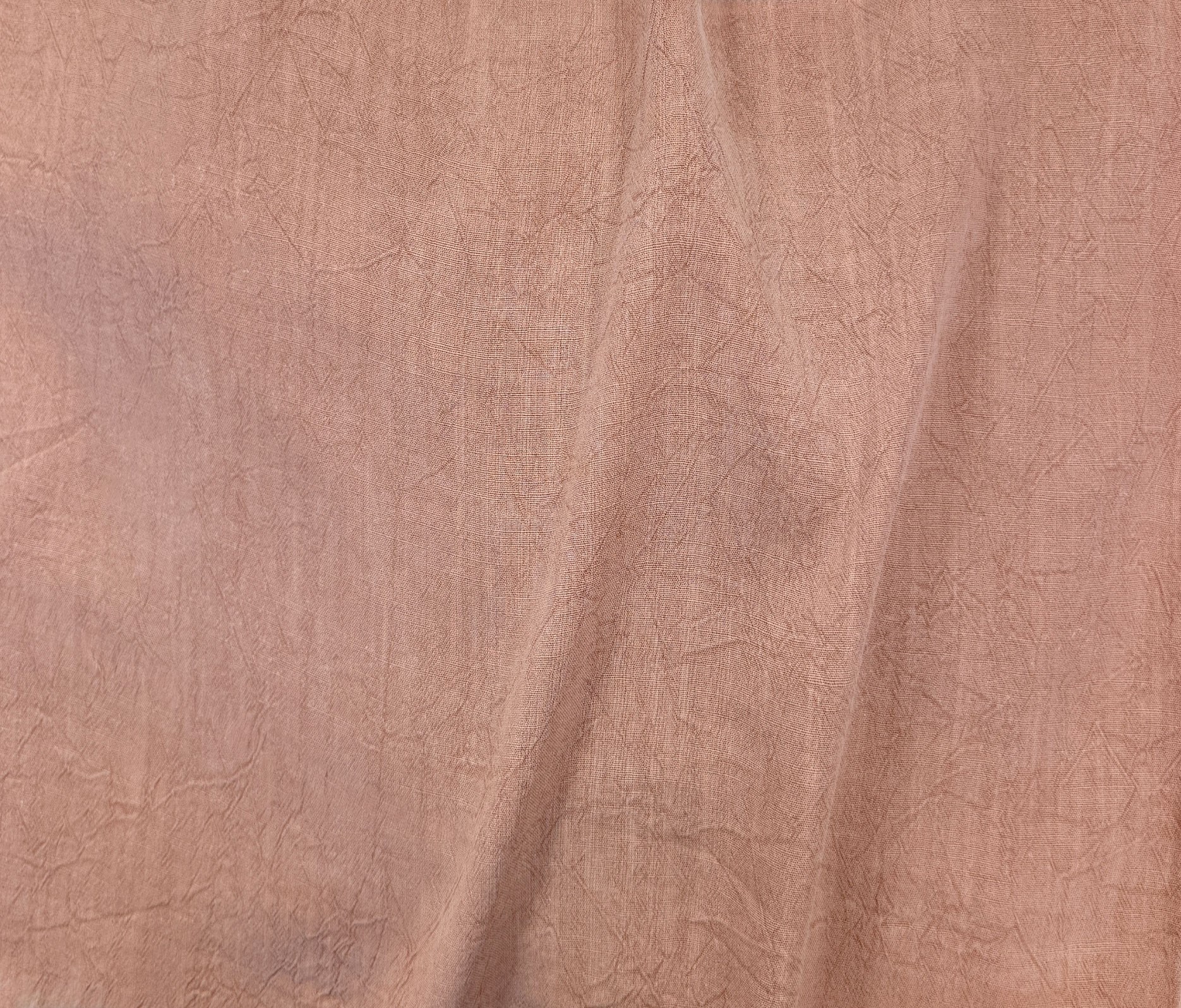Rose pale (05)
