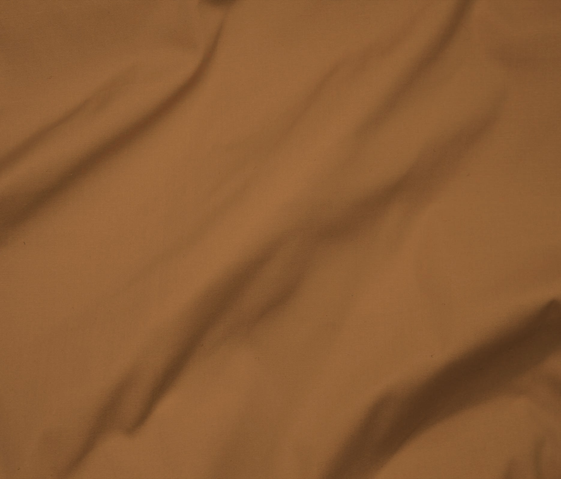 Camel (10)