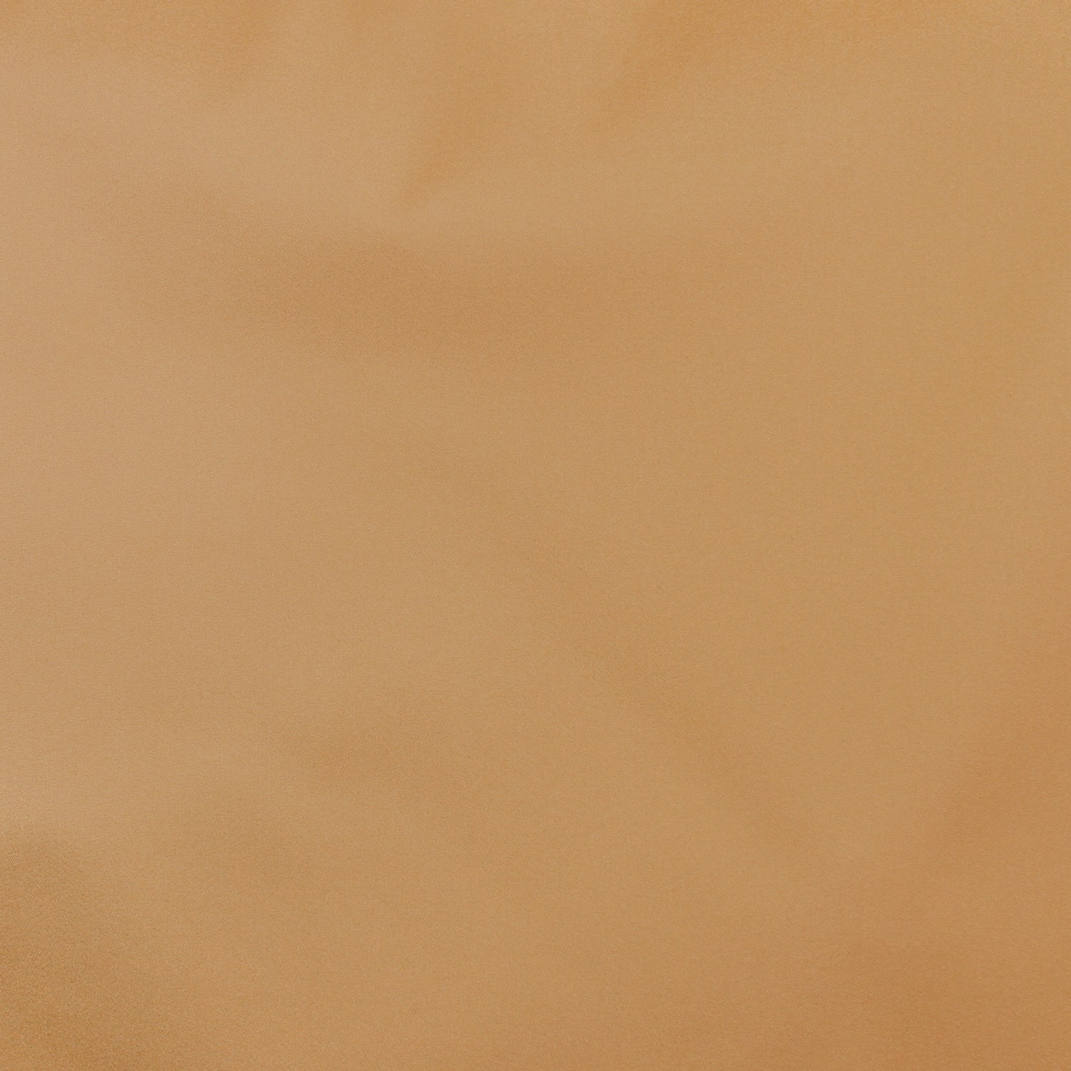 CAMEL* (53)