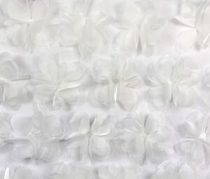 47196-01 La Boheme-white