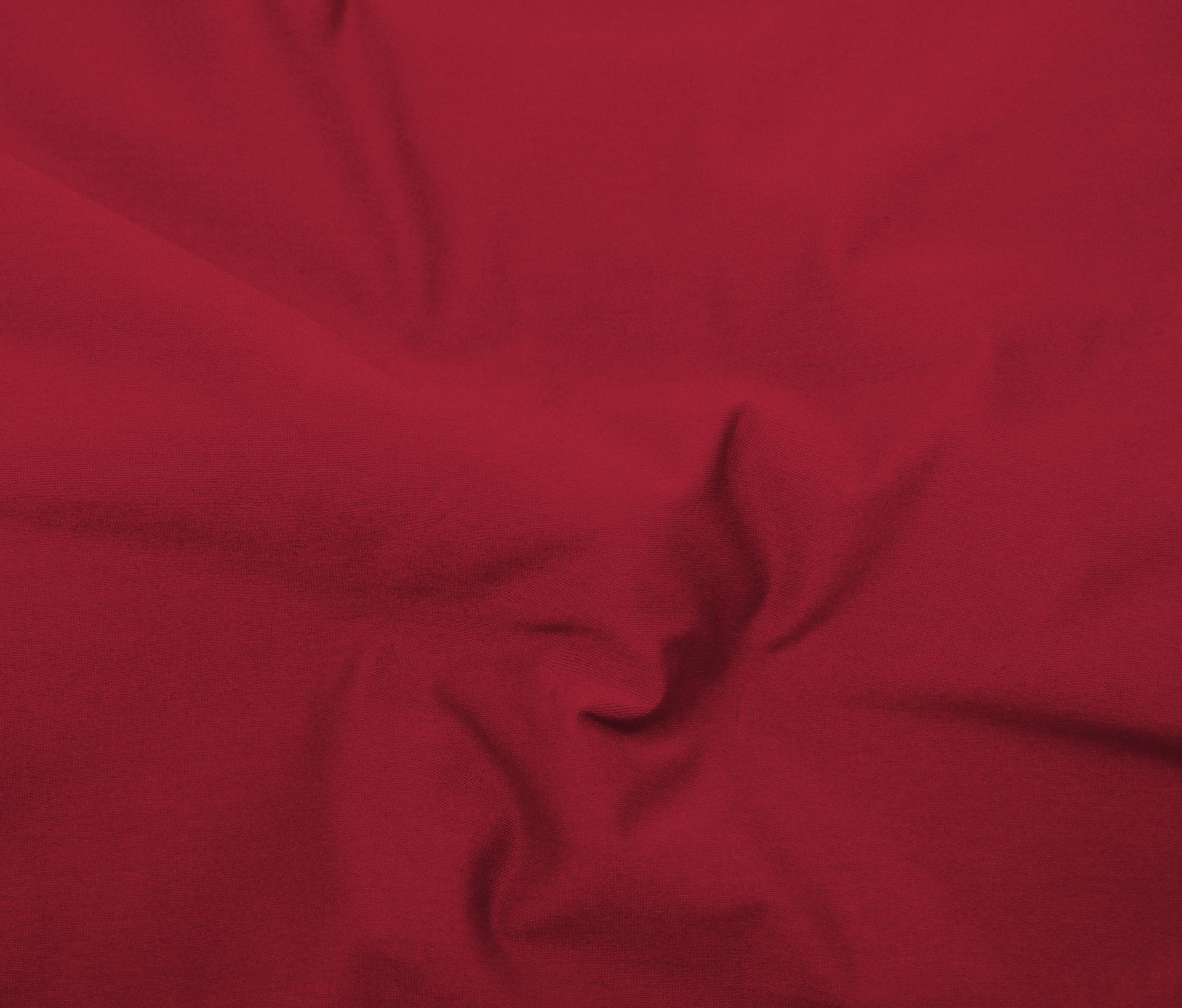 Rhubarb (22)